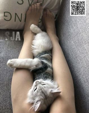 韩国视频成人美女律师_DVD视频大全
